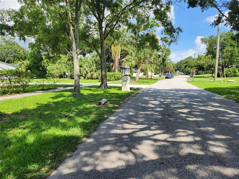 from 107 looking east on Arlington Ave, a beautiful neighborhood