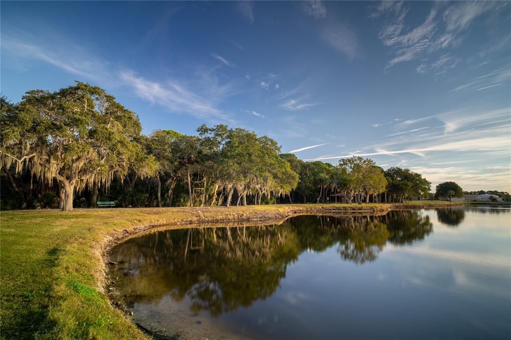 Bicentennial Park walking path