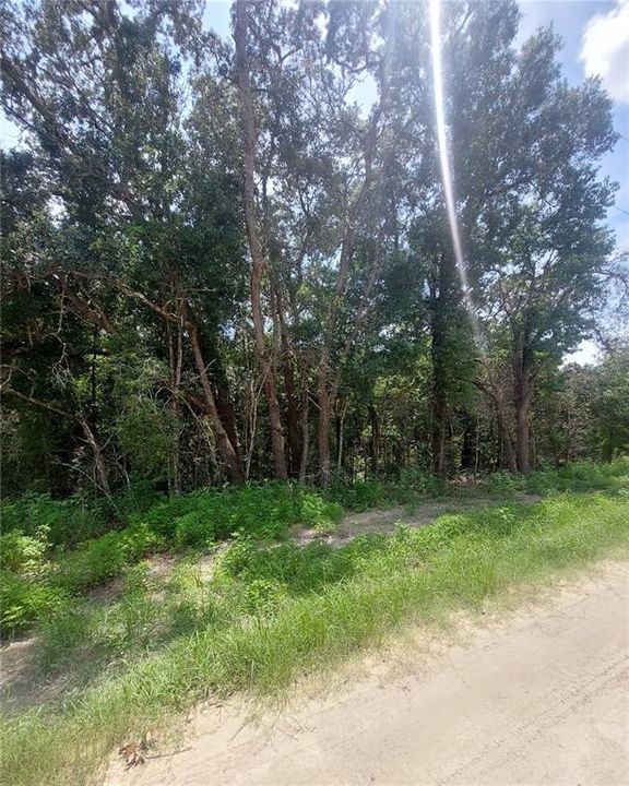 En Venta: $28,000 (0.22 acres)