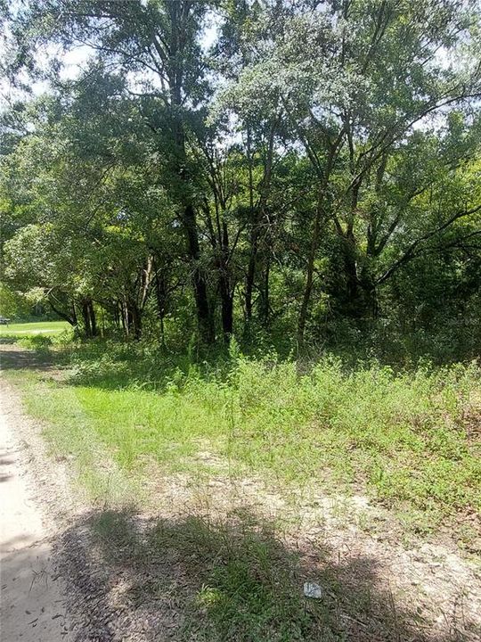 En Venta: $28,000 (0.22 acres)