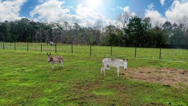 На продажу: $410,000 (9.72 acres)