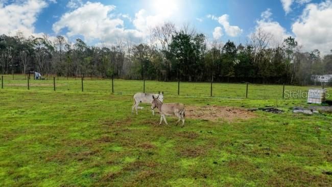 На продажу: $410,000 (9.72 acres)