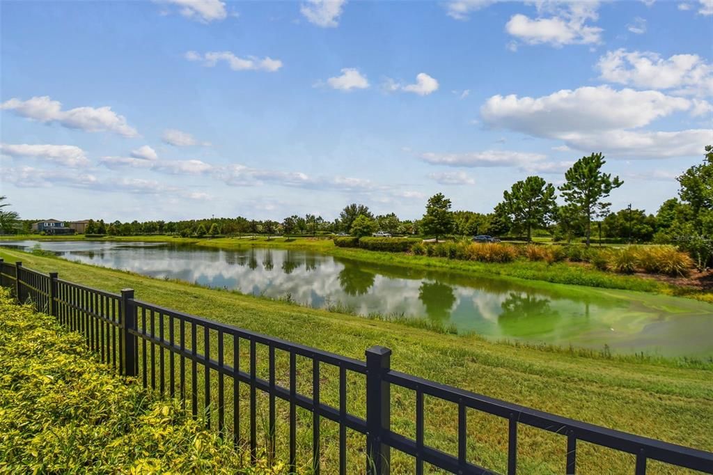 Backyard View