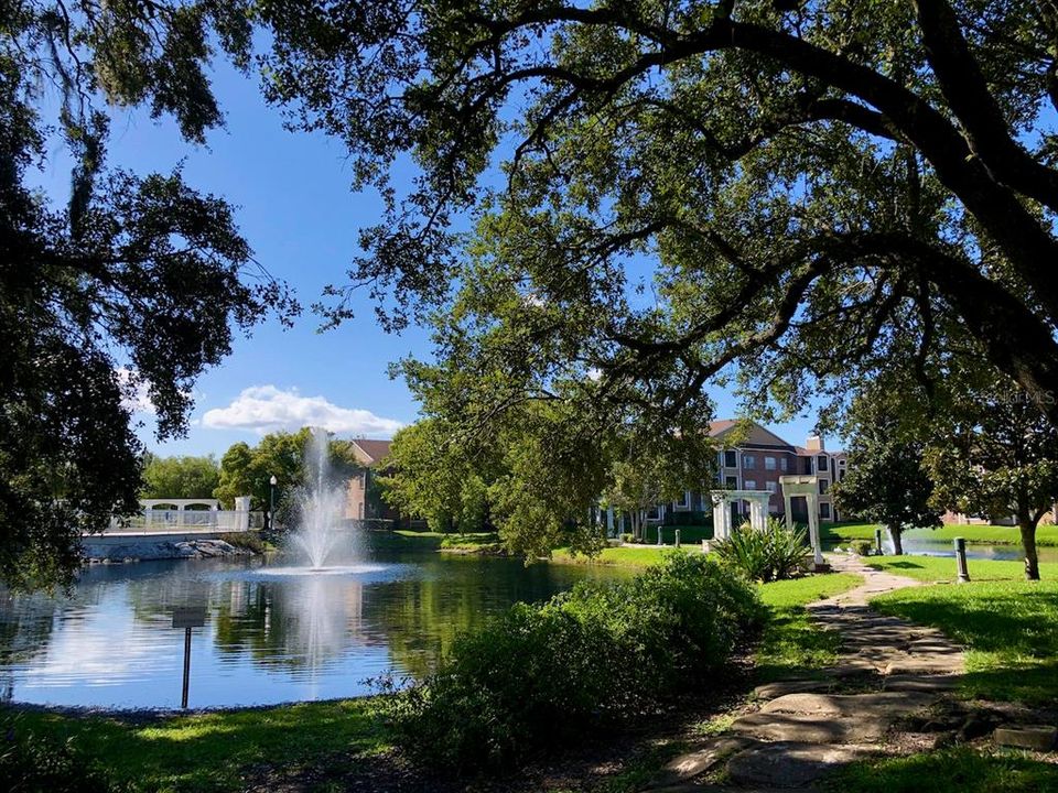 Water views from walking trails