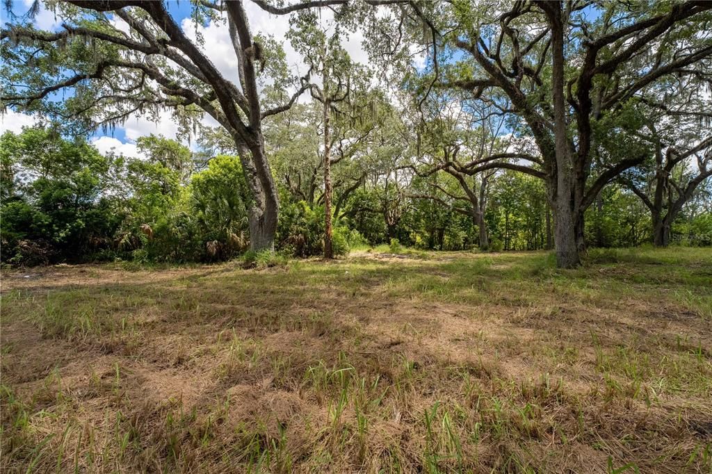 Active With Contract: $199,000 (1.39 acres)