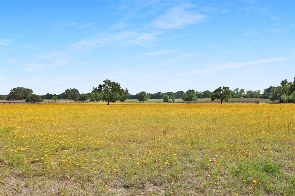 На продажу: $309,000 (20.00 acres)