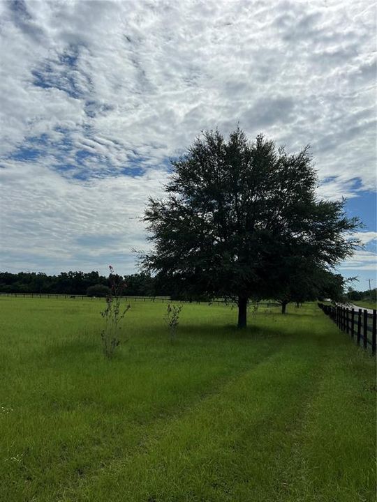 На продажу: $309,000 (20.00 acres)