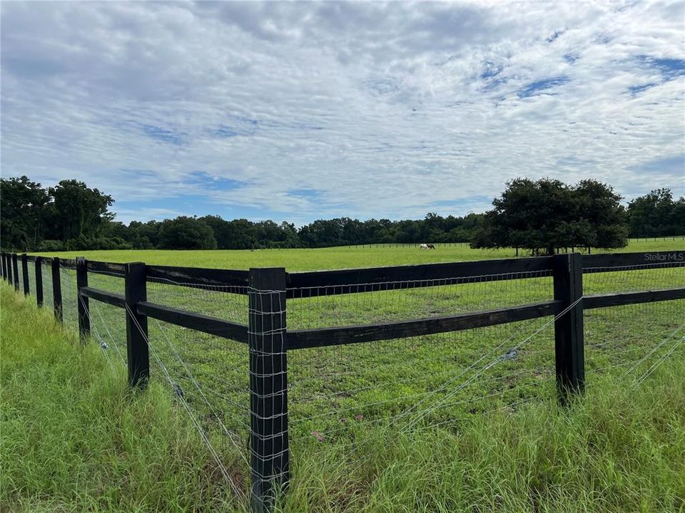 На продажу: $309,000 (20.00 acres)