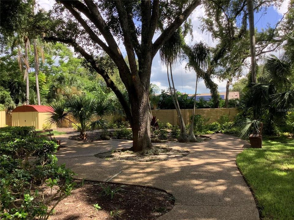 Beautiful Courtyard