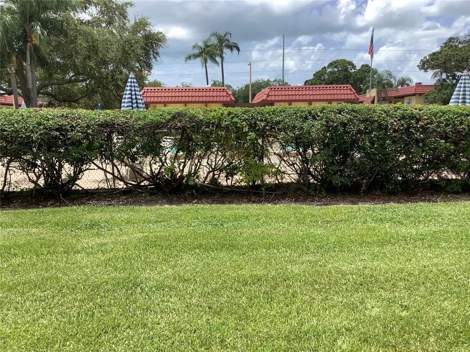 View of the Pool from the Back Patio