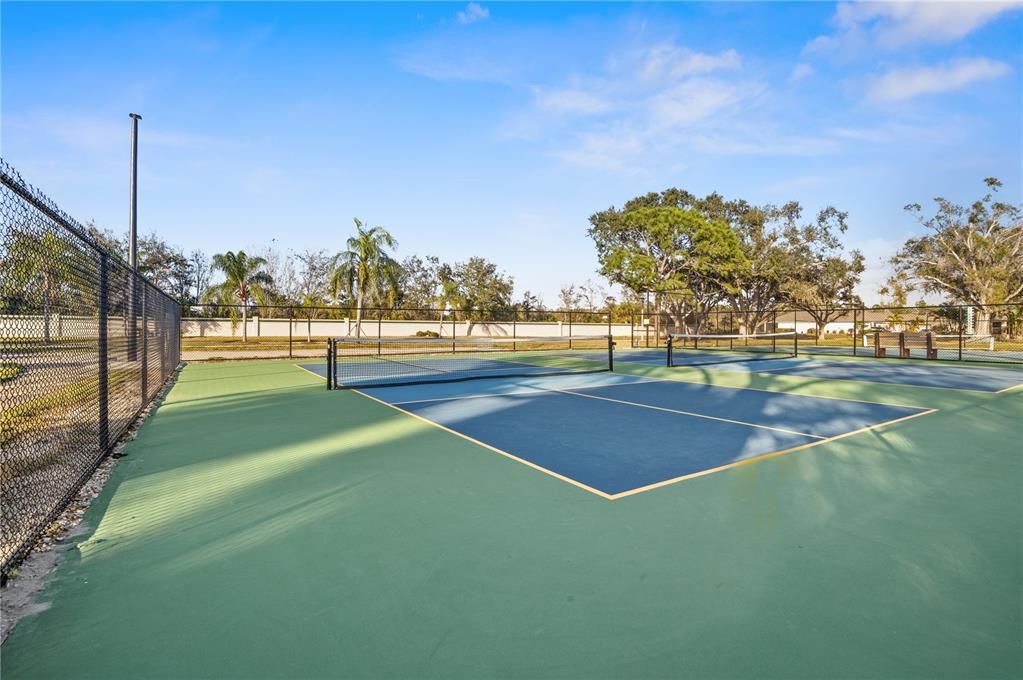 THE PICKLE BALL AND TENNIS COURTS HAVE HAD A FACELIFT AND OFFER MORE COURTS NOW.