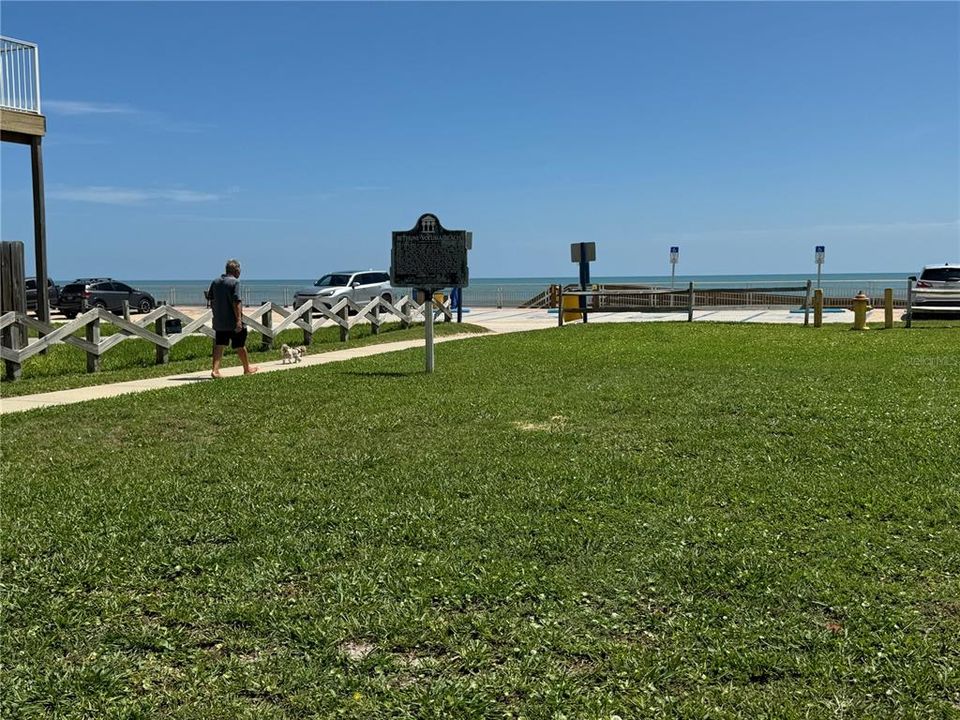 Dog Park on the beach