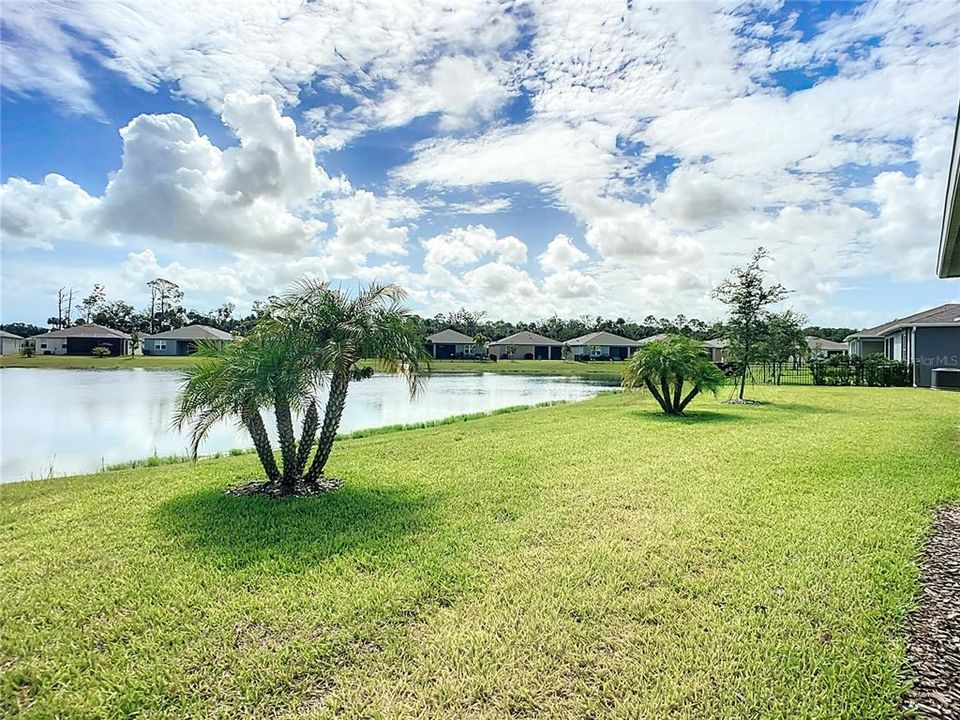 Back yard and Lake