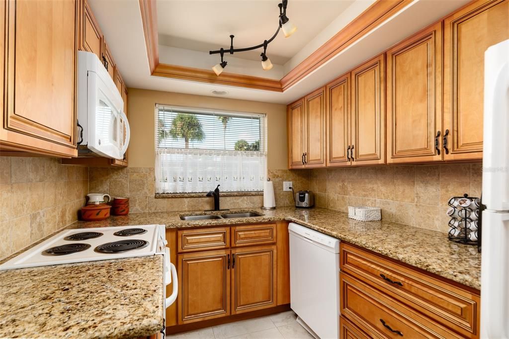 Kitchen w/Palm tree views.