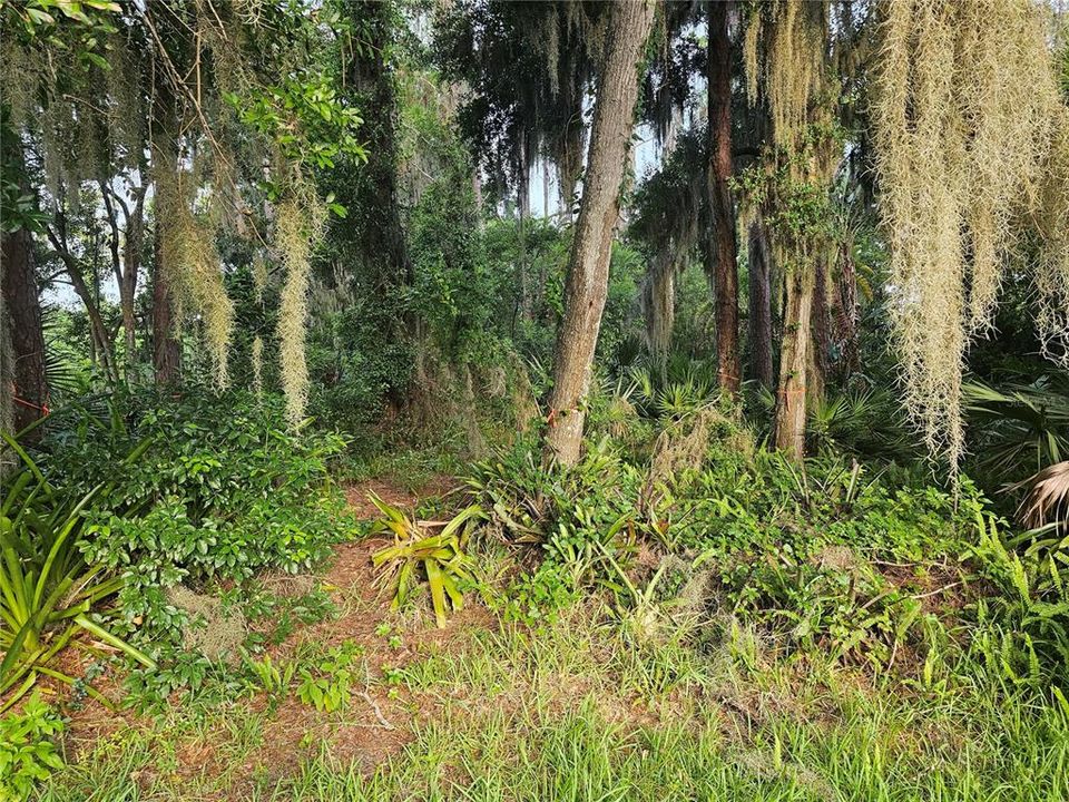 En Venta: $54,900 (0.34 acres)