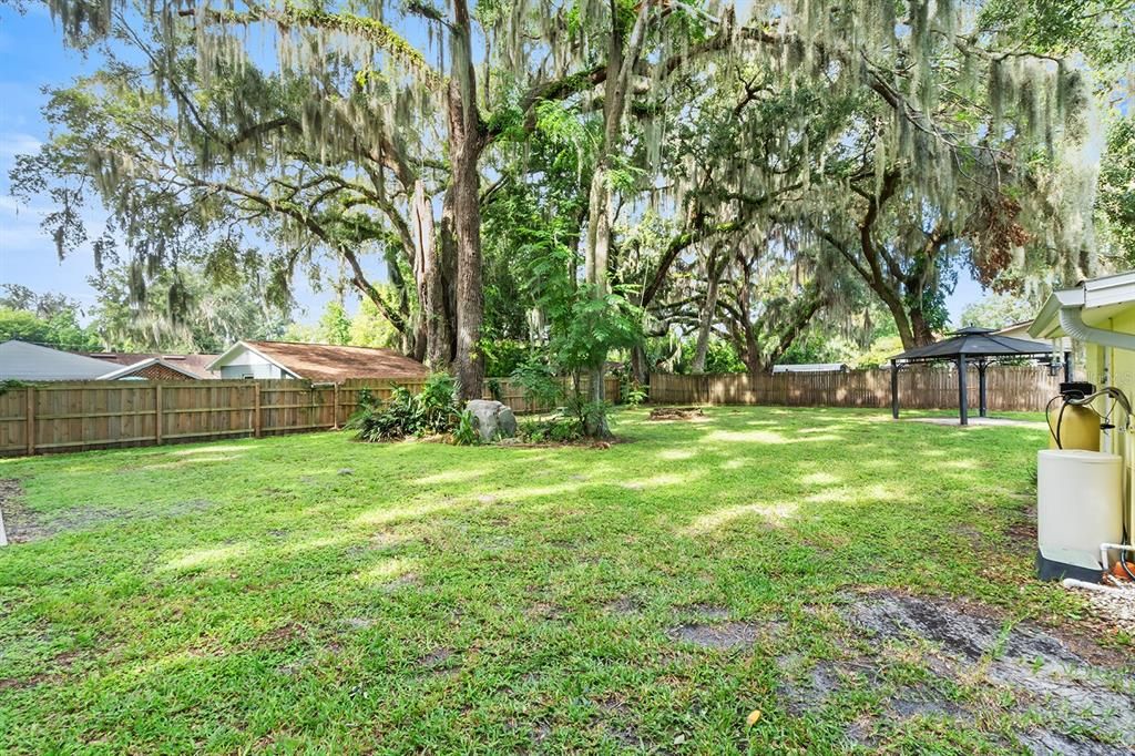 Lush .32 of an acre backyard with huge oak trees.