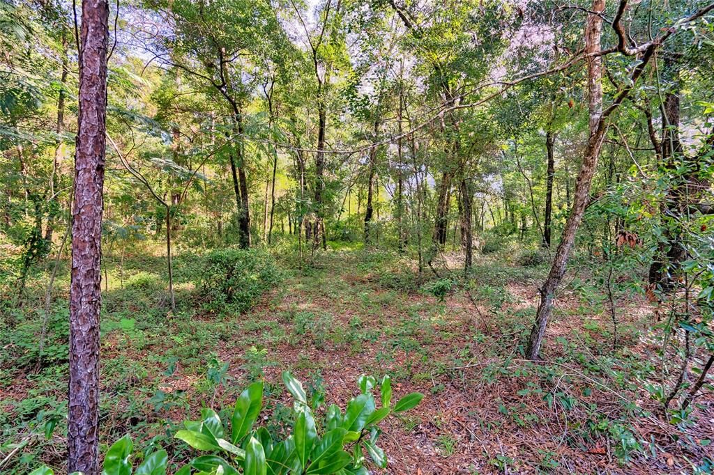 Active With Contract: $10,000 (0.33 acres)