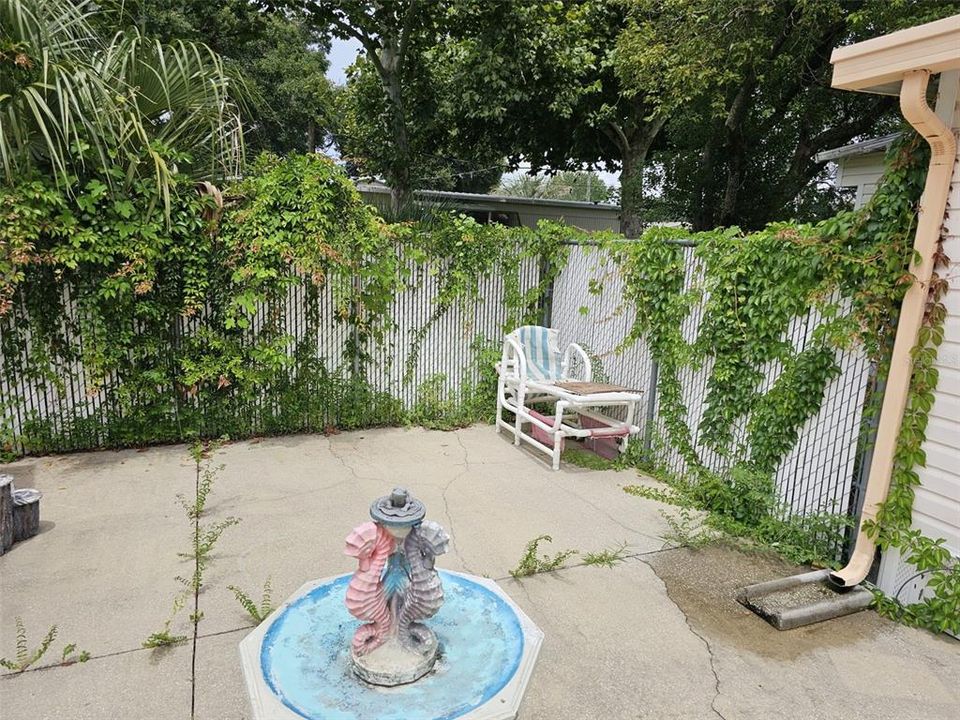 Bird bath on back pool deck