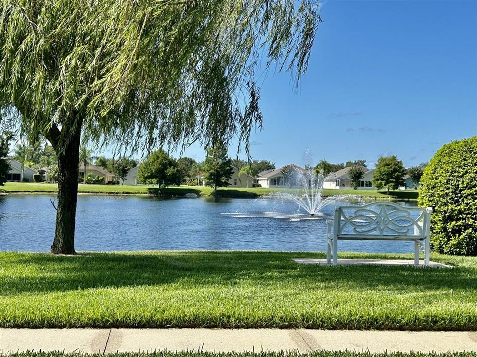 Community Sidewalks & Benches