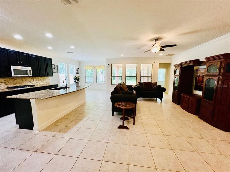 Family room - kitchen