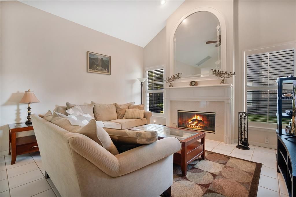 Family Room with Fireplace