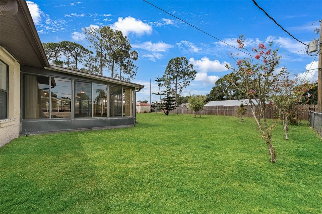 Fenced Backyard