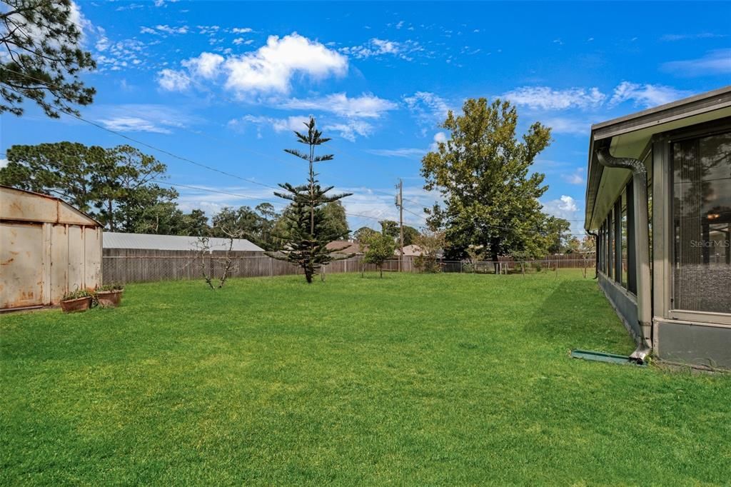 Fenced Backyard