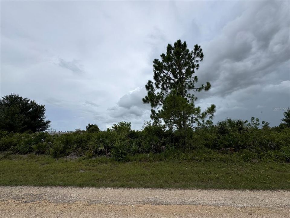 En Venta: $19,500 (0.24 acres)