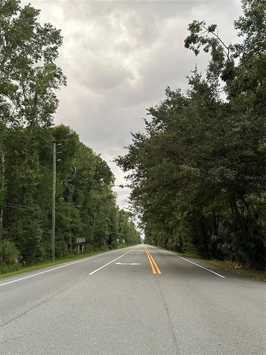 Main road of subdivision is off of. Right.