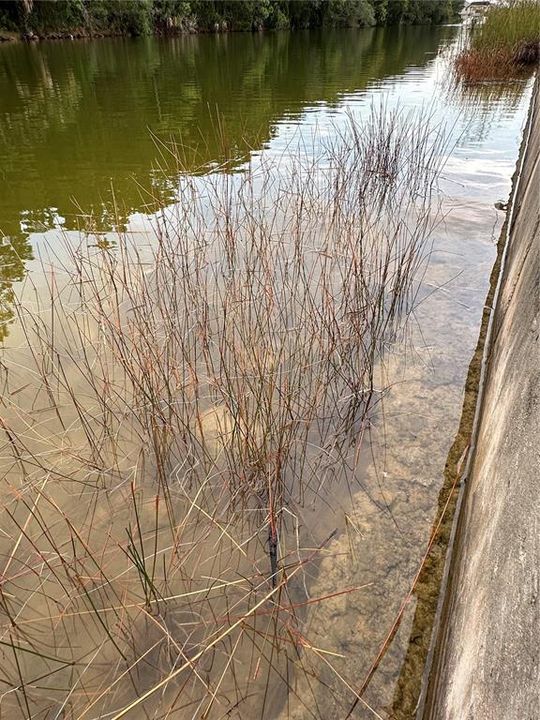 Water access to the right of the sea wall.