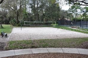 Volley Ball courts