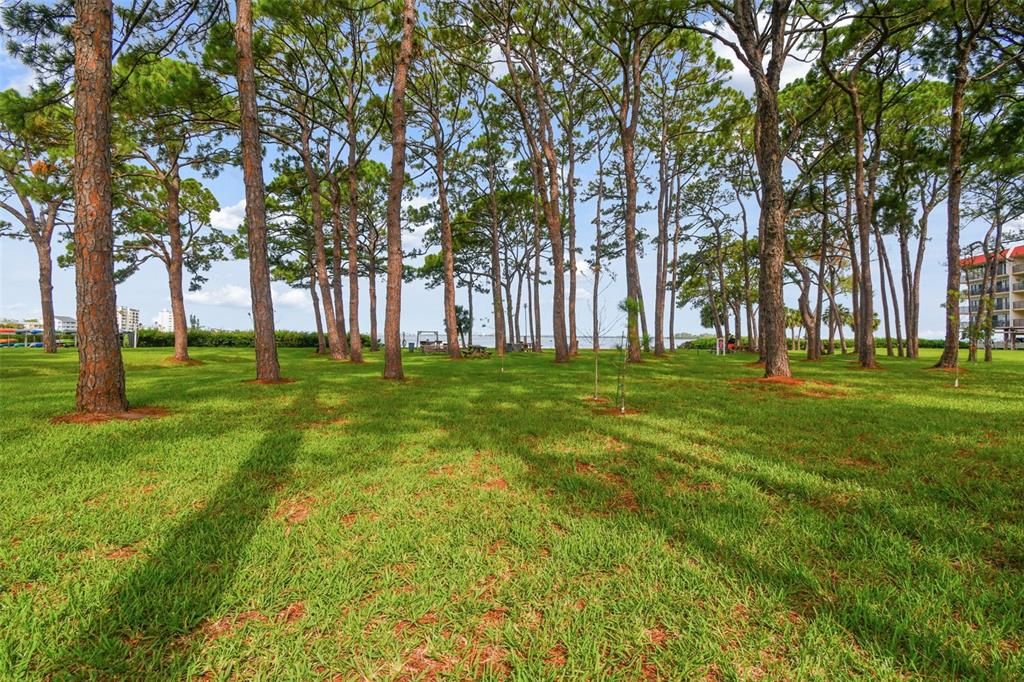 Beautiful mature landscaping, plenty of shade!