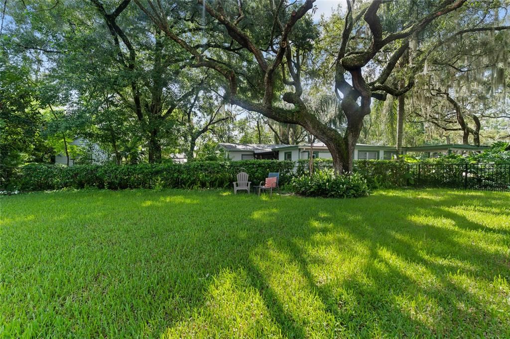 Large shaded back yard