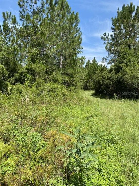 For Sale: $154,999 (3.91 acres)