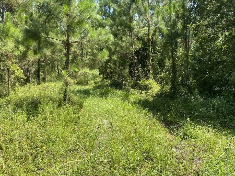 For Sale: $154,999 (3.91 acres)