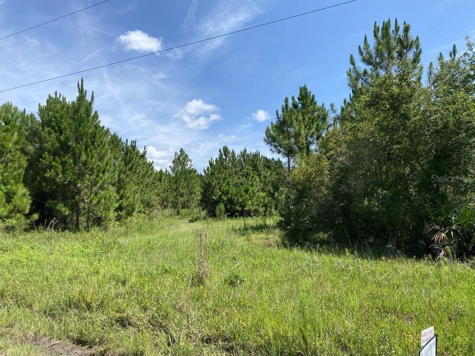 For Sale: $154,999 (3.91 acres)