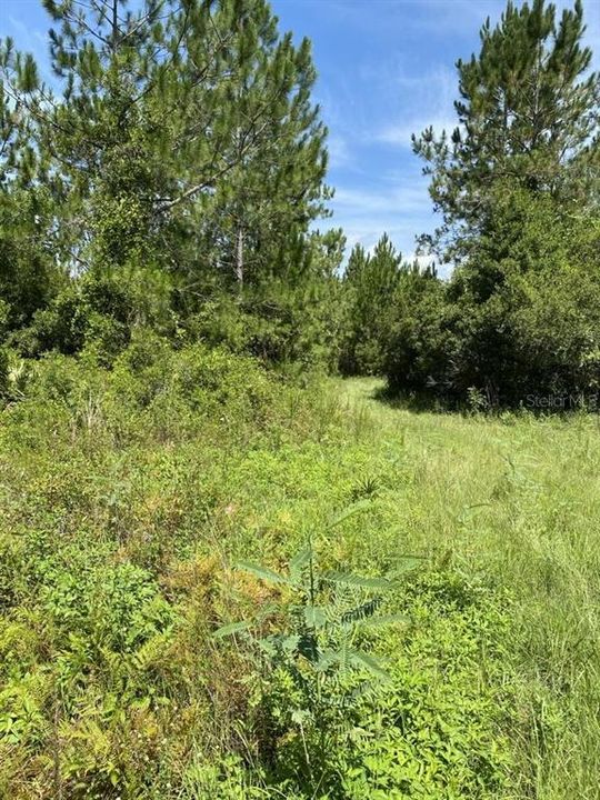 For Sale: $154,999 (3.91 acres)