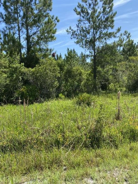 For Sale: $154,999 (3.91 acres)