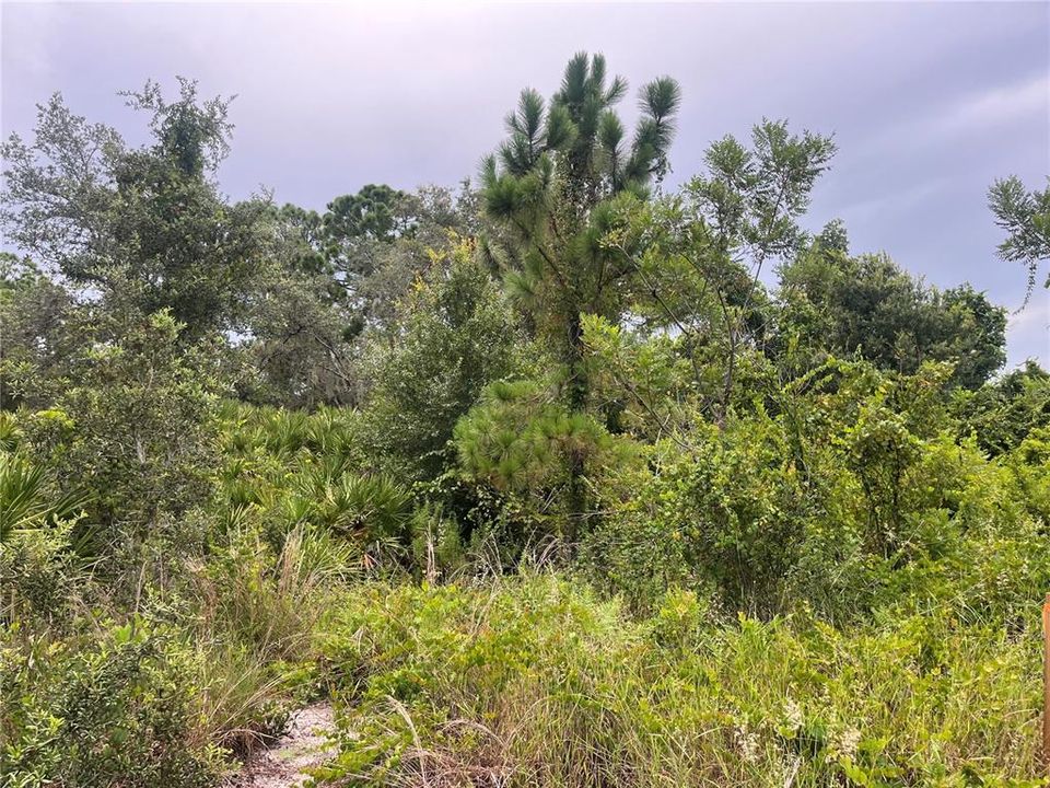 En Venta: $22,900 (0.49 acres)