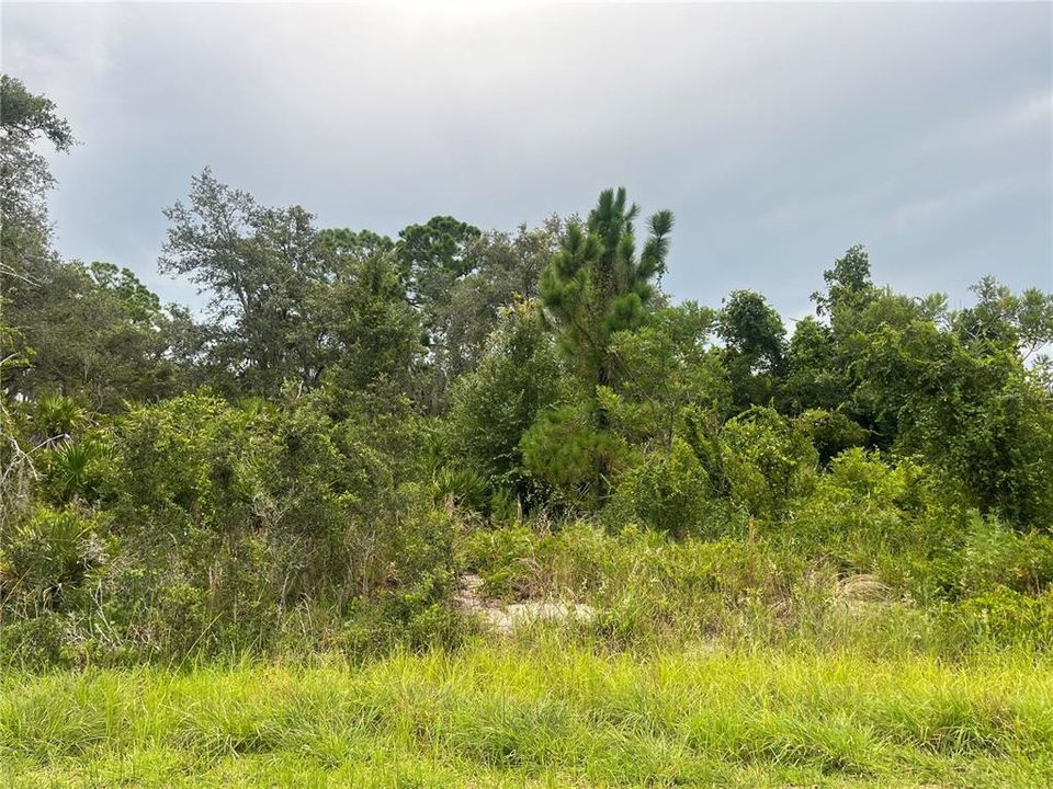 En Venta: $22,900 (0.49 acres)