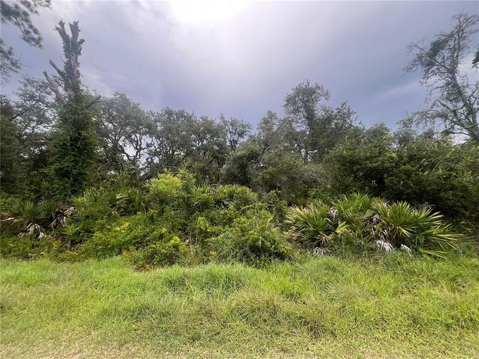 En Venta: $22,900 (0.49 acres)