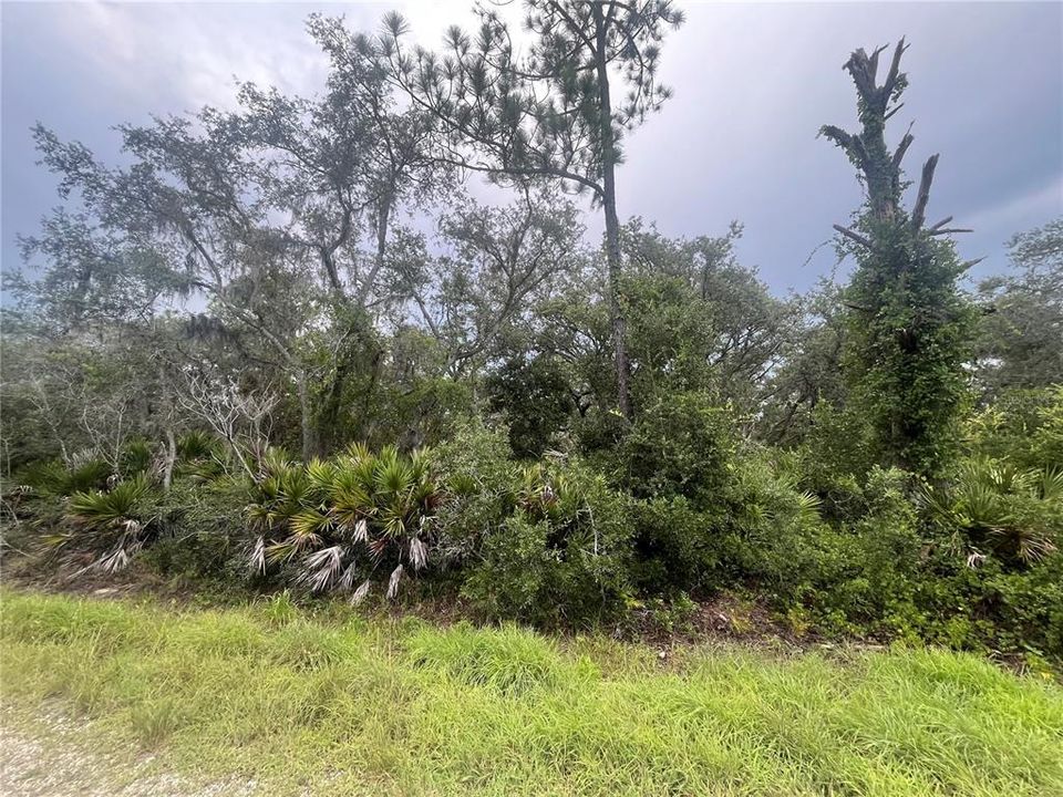 En Venta: $22,900 (0.49 acres)