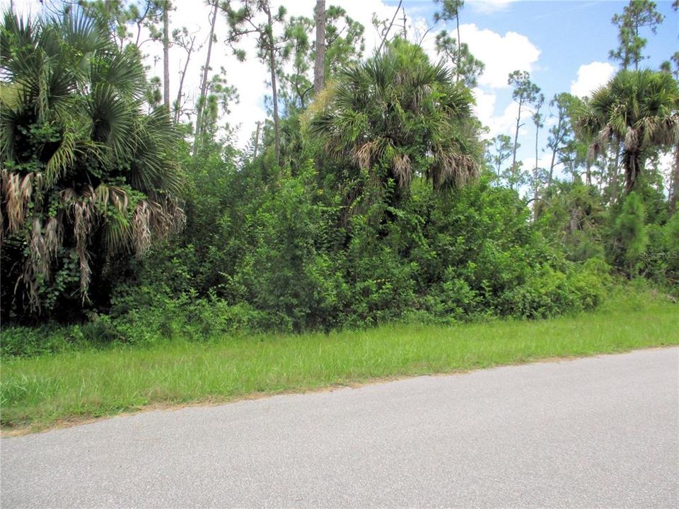 Street view of lot from right of center.