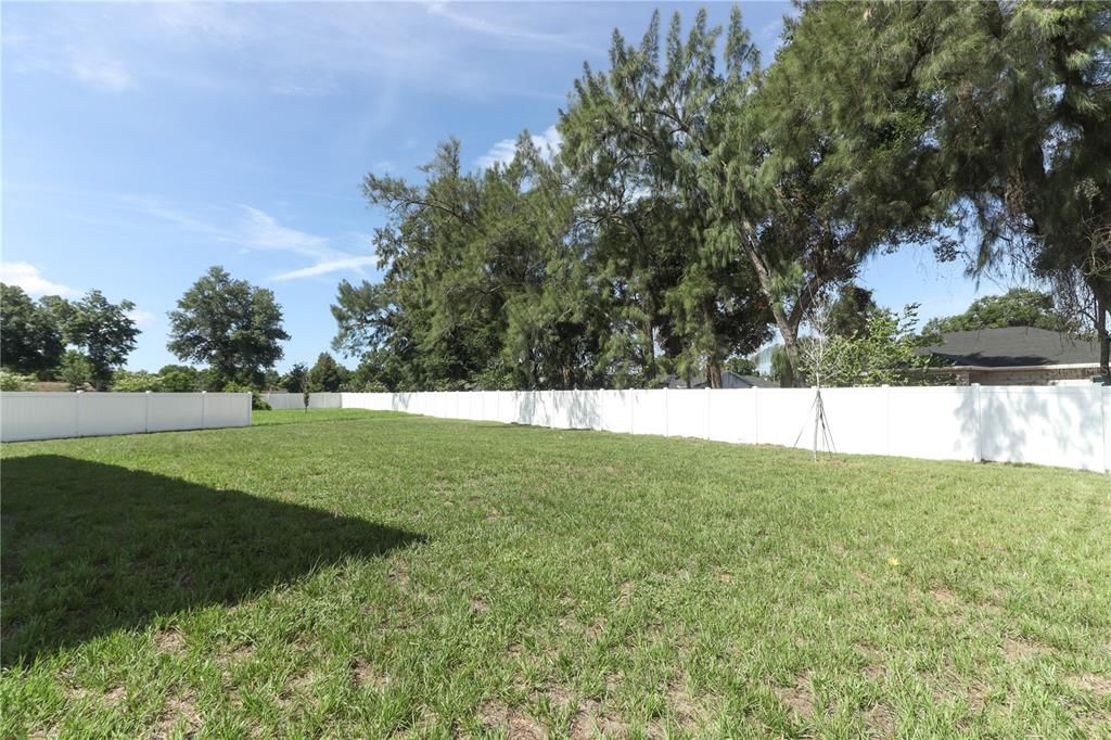 HUGE back yard with vinyl fencing