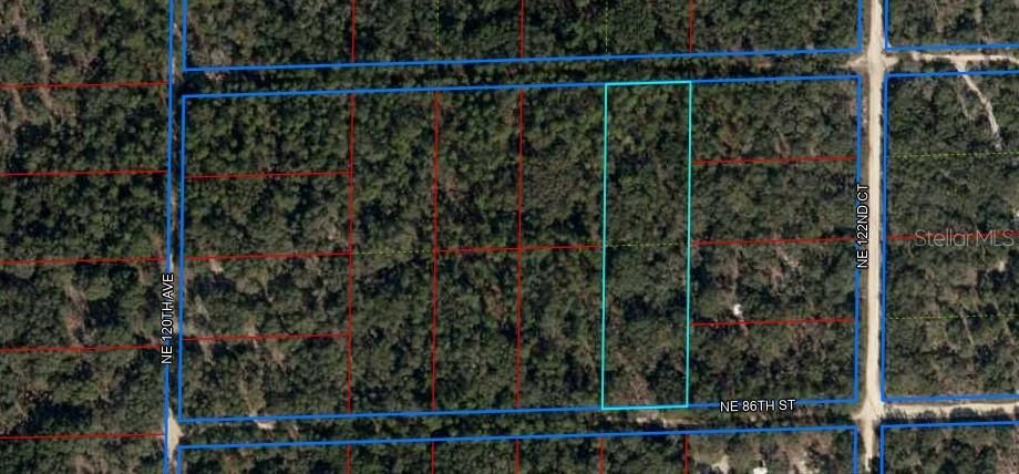 Courtesy of Levy County Property Appraiser. Lines are for visualization only.