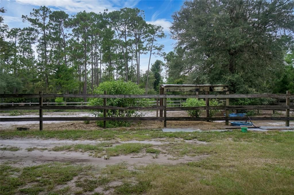 Fenced area in front of the house