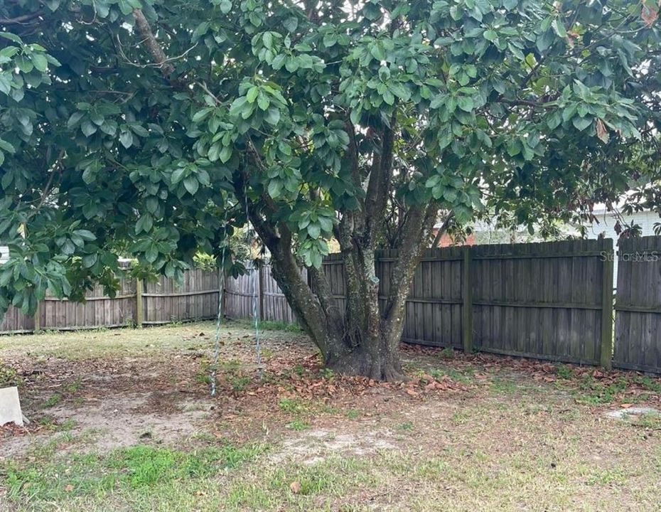 Fenced in Backyard.