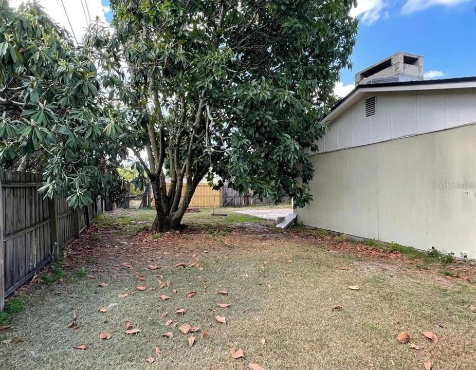 Fenced in Backyard.