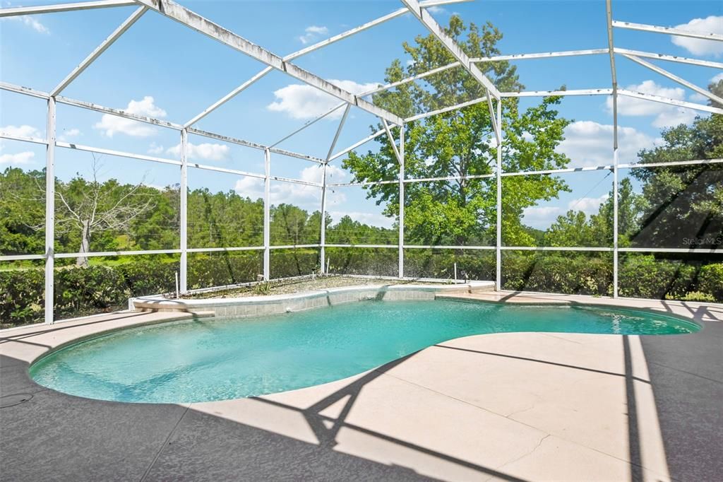 Large Pool and Pool Patio