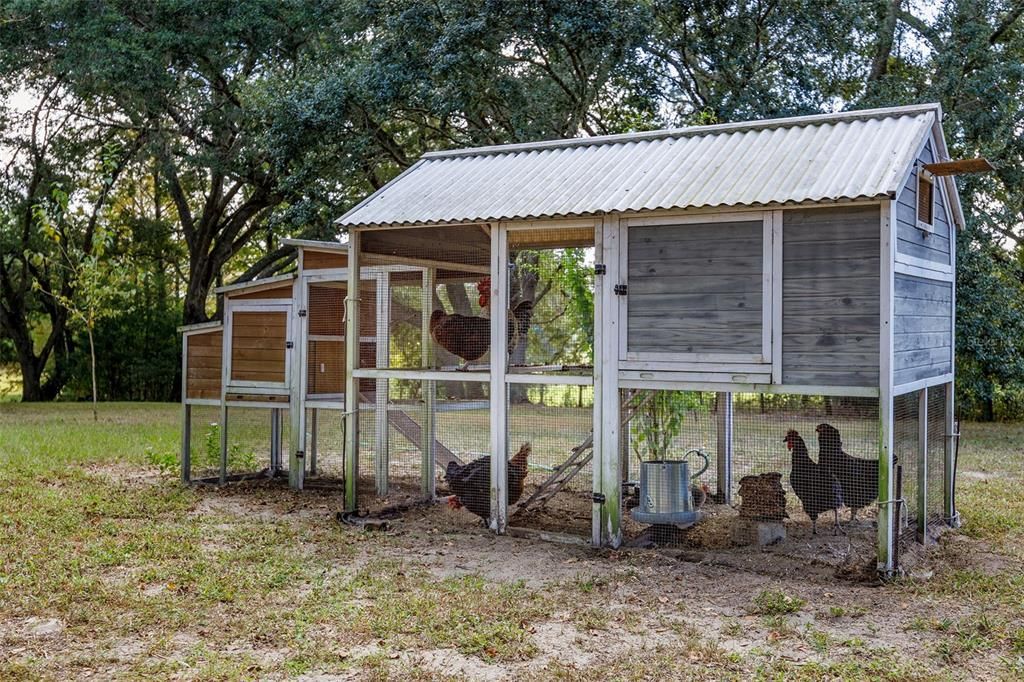 For Sale: $400,000 (3 beds, 2 baths, 965 Square Feet)